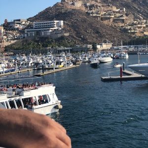 Meet your Posher, Gee